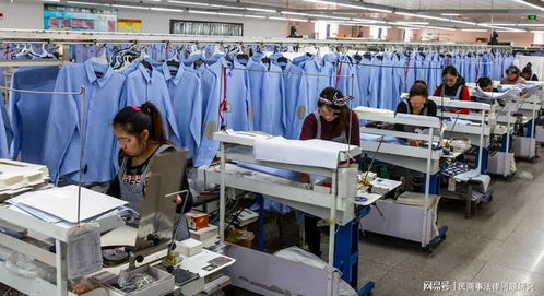 家庭悲剧背后的警示 毛织服装下的扭曲心理
